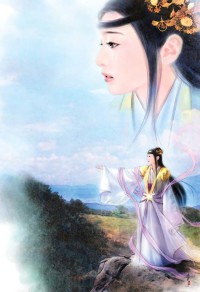 小说合集