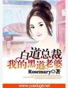 白道首席：我的黑道老婆